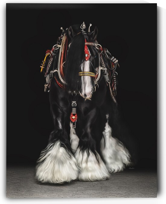 Dressed for Success by Maureen Noce Photography