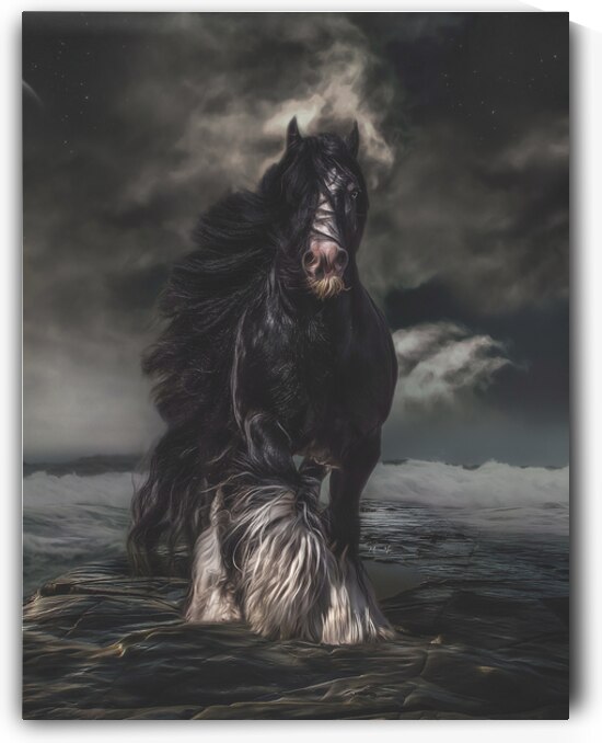 Through The Storm by Maureen Noce Photography