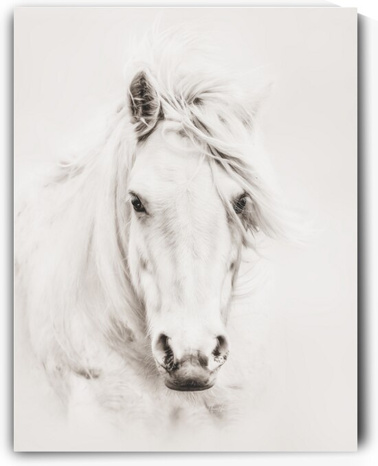 Soulful by Maureen Noce Photography