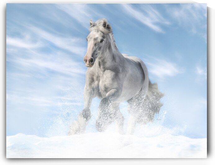 Joy in the Sky by Maureen Noce Photography