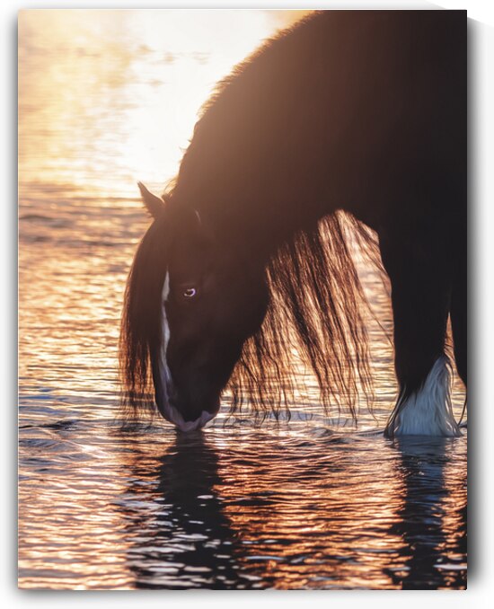 Quiet Reflection by Maureen Noce Photography