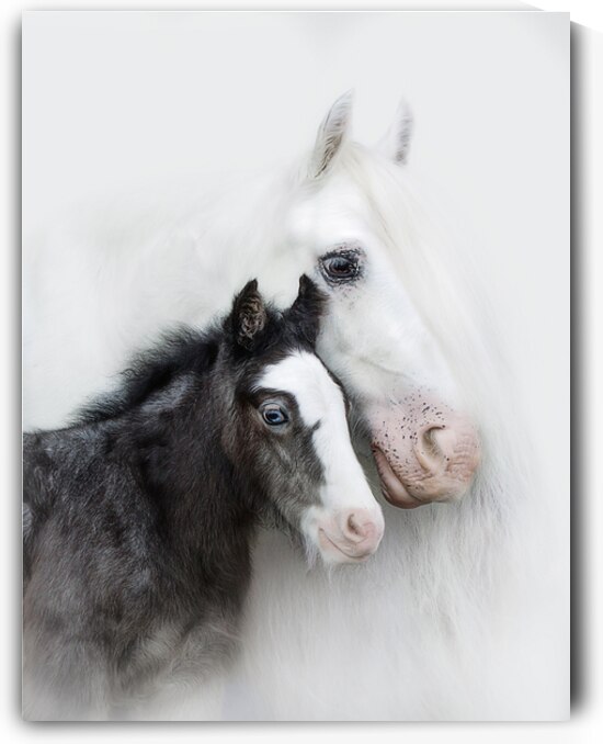  A Mother s Love III by Maureen Noce Photography