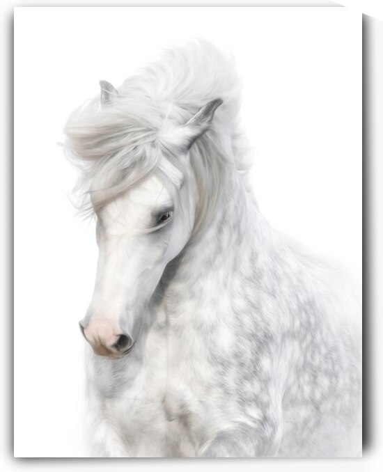  A Touch of Grace by Maureen Noce Photography