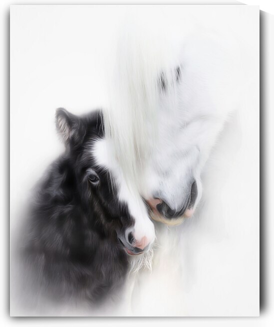  A Mother s Love II by Maureen Noce Photography