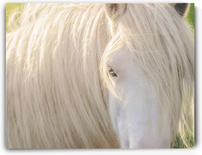 A Moment In Time by Maureen Noce Photography