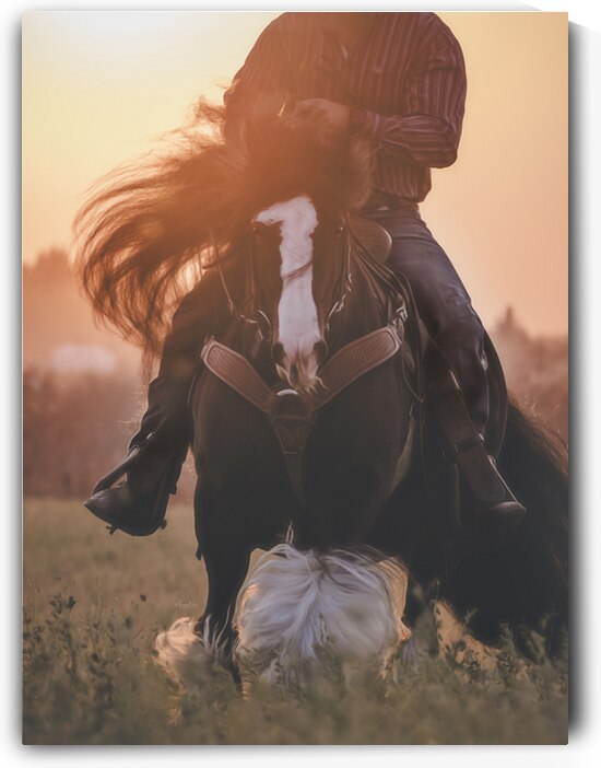 Beauty In Motion by Maureen Noce Photography