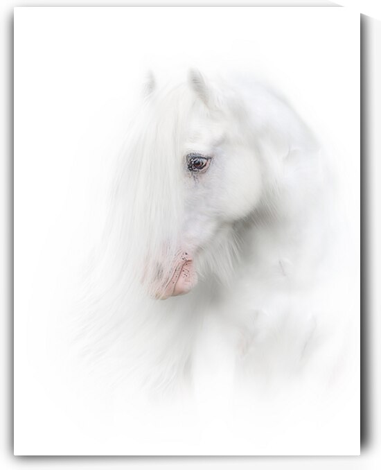 Angel by Maureen Noce Photography