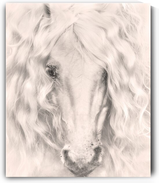 Dear Anna by Maureen Noce Photography