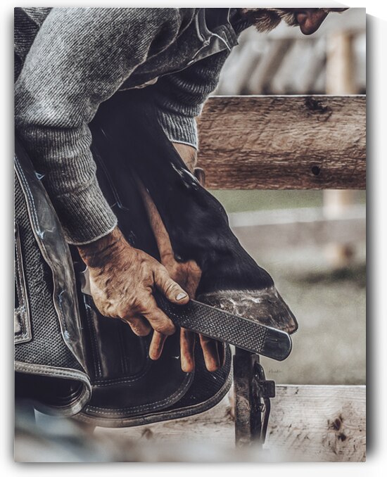 Grit by Maureen Noce Photography