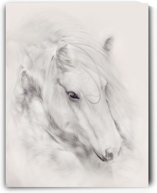 Fairytale Dreams by Maureen Noce Photography