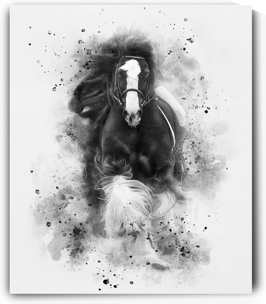 Unstoppable by Maureen Noce Photography