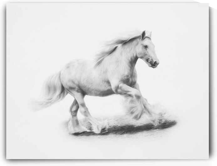 Unbridled Joy by Maureen Noce Photography