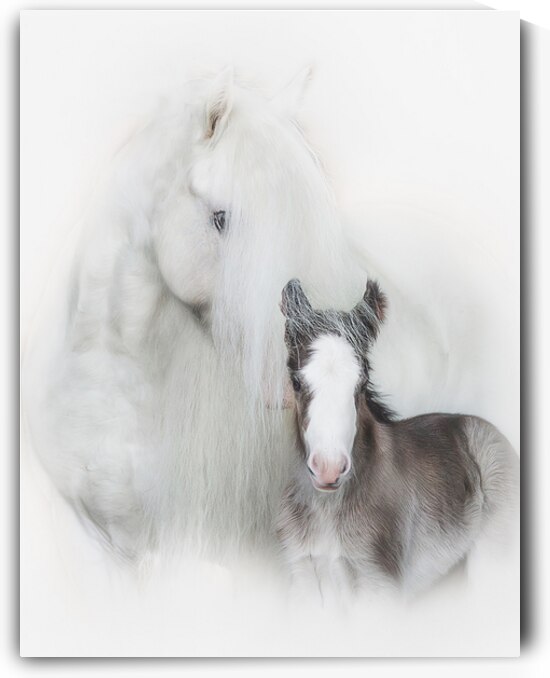 A Mother s Love IIII by Maureen Noce Photography
