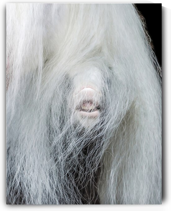 Having Fun by Maureen Noce Photography