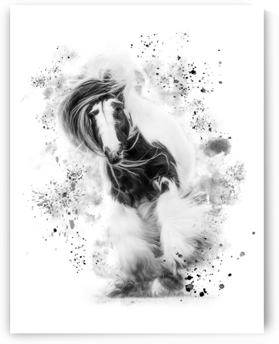 BreakFree by Maureen Noce Photography