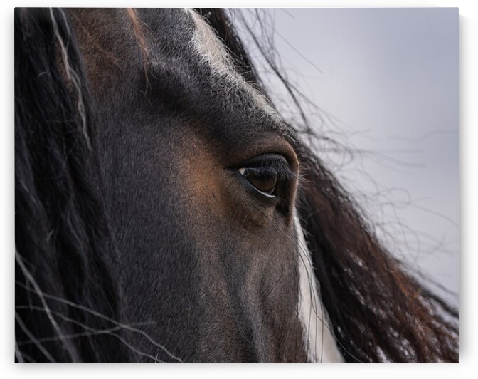 Unspoken by Maureen Noce Photography