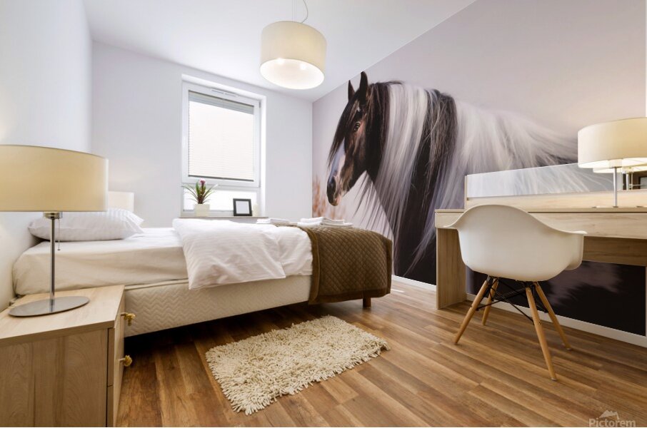 Silent Gaze Mural print