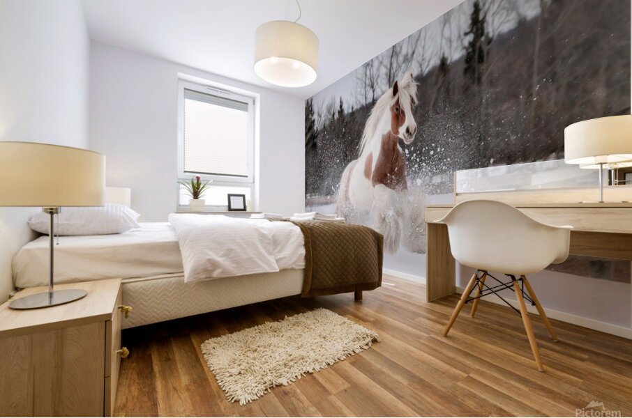 Snow Dancer Mural print