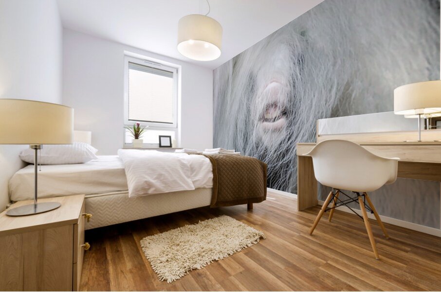 Having Fun Mural print