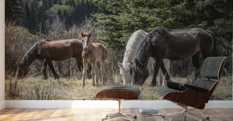 A Piece of Something Bigger Wall Murals