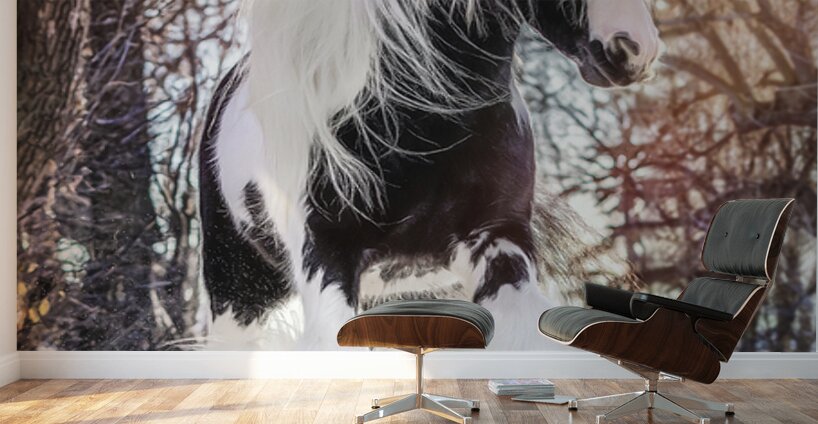 Be Brave Enough To Dream Wall Murals