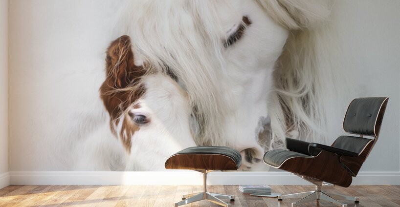 A Mother s Love Wall Murals