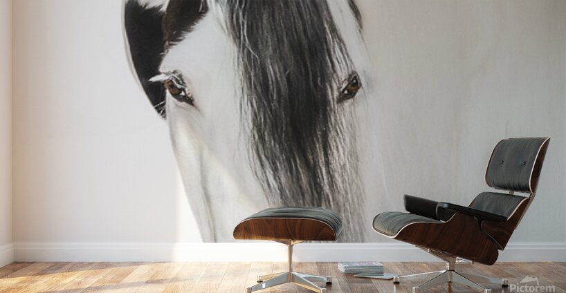 Defined Elegance Wall Murals