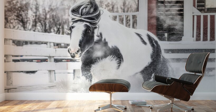 Breathe of Winter Wall Murals