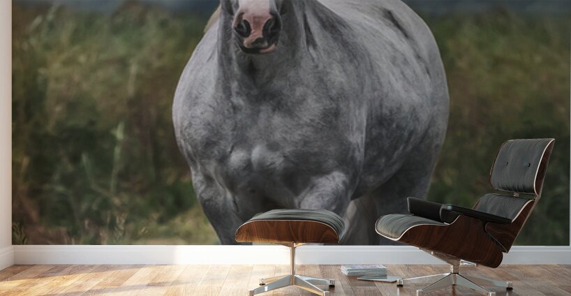 Dont stop Wall Murals