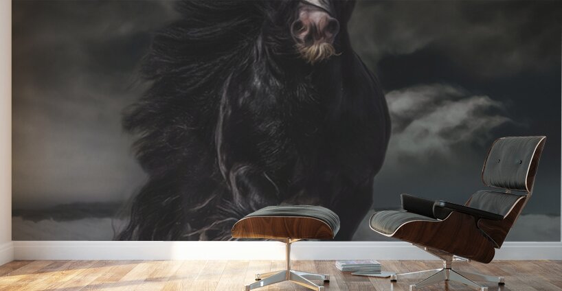 Through The Storm Wall Murals