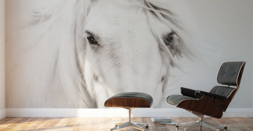 Soulful Wall Murals