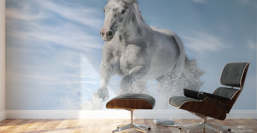 Joy in the Sky Wall Murals