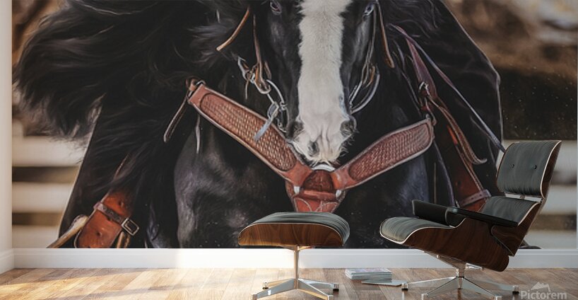 Invincible Wall Murals