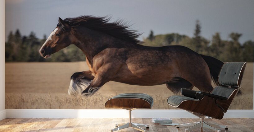 Free Spirit Wall Murals