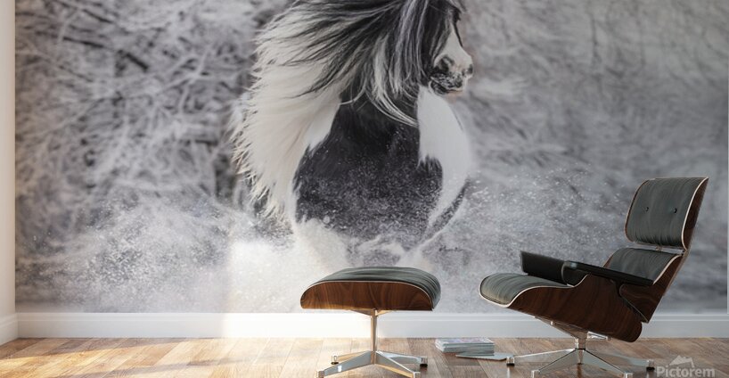 First Snow Wall Murals