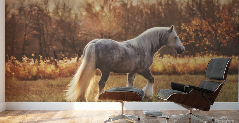 Field of Dreams Wall Murals