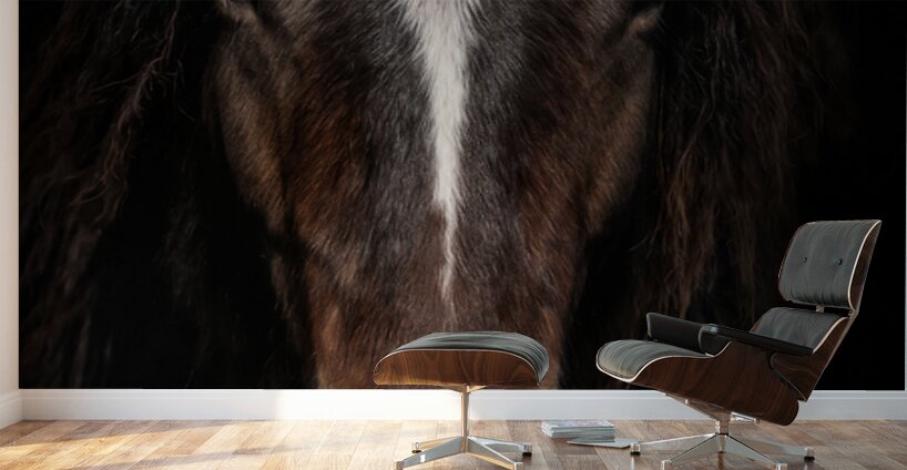 Embers in the Dark Wall Murals