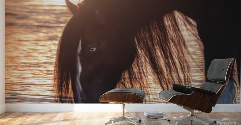 Quiet Reflection Wall Murals