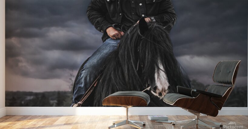 Dark Skies Wall Murals