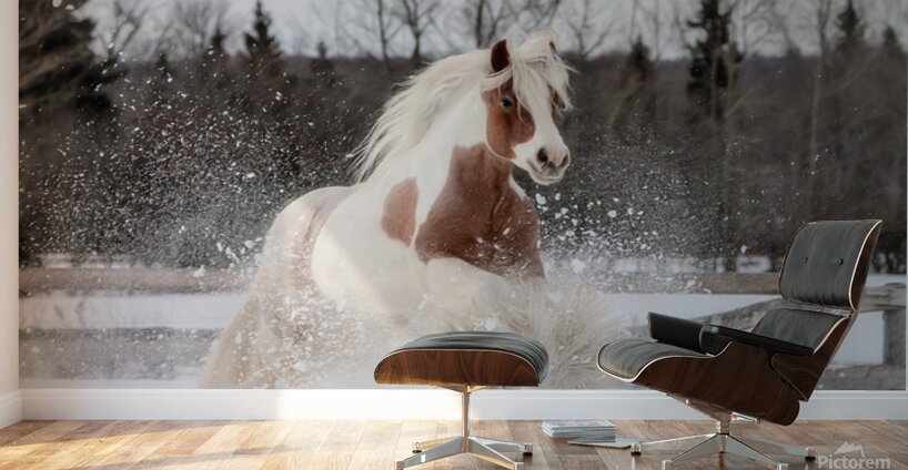 Snow Dancer Wall Murals