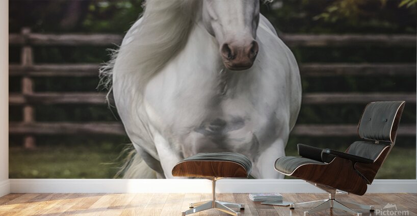 The Heart Knows Wall Murals