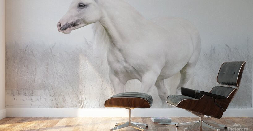 Winters Whisper Wall Murals