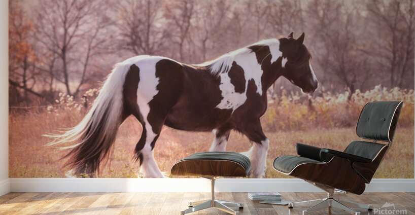 Sunlit Treasures Wall Murals