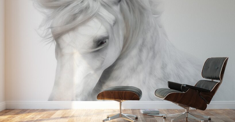  A Touch of Grace Wall Murals