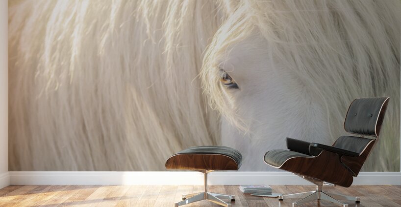 A Moment In Time Wall Murals