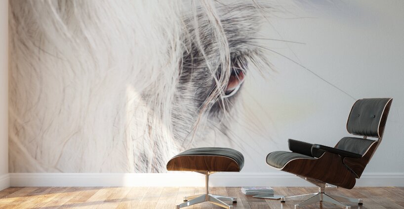 A Quiet Gaze Wall Murals