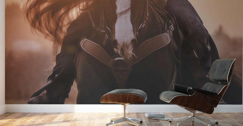 Beauty In Motion Wall Murals