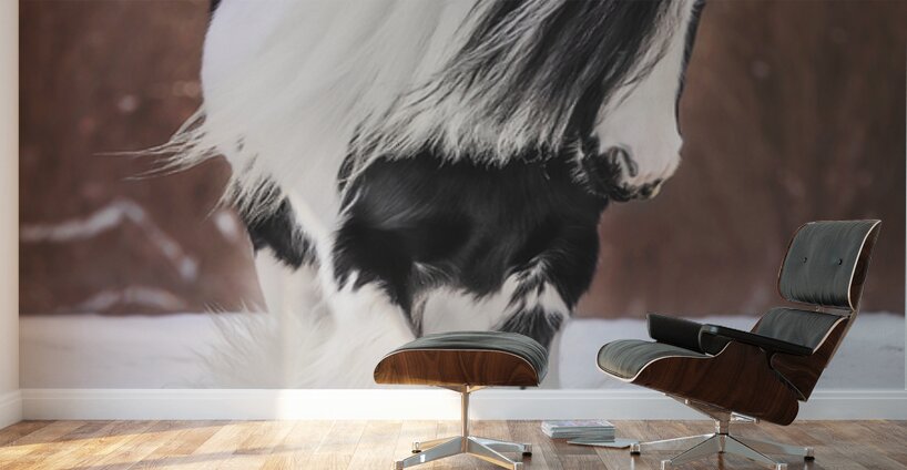 A winters Walk Wall Murals