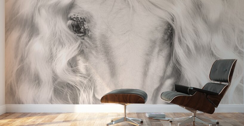 Dear Anna Wall Murals