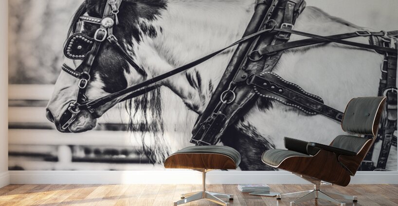 Determination Wall Murals